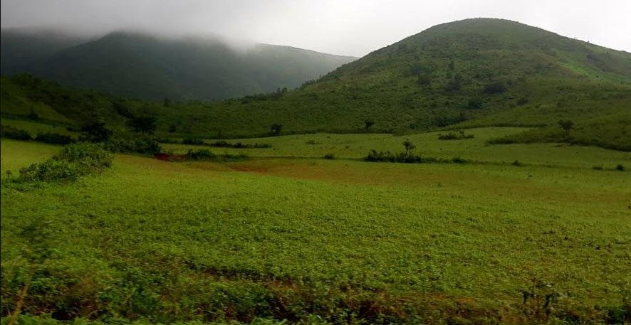 Koraput, Koraput, Odisha - Vushii.com Koraput, Koraput, Odisha - Vushii.com